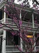 14th Mar 2022 - Spring in Old Charleston