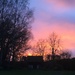 March sunset over the garden  by snowy