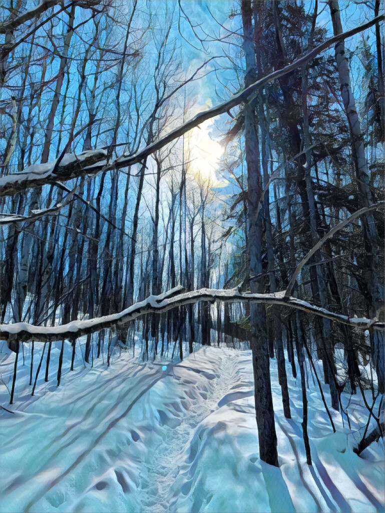 Snowshoe trail by radiogirl