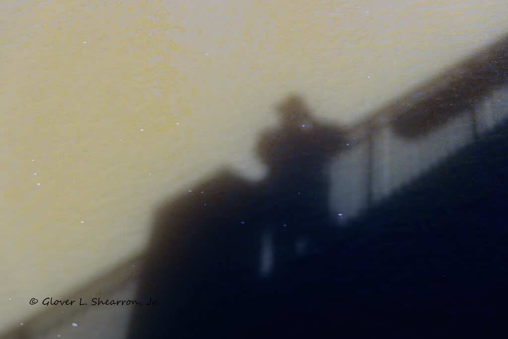 Shadow Selfie in the River by ggshearron