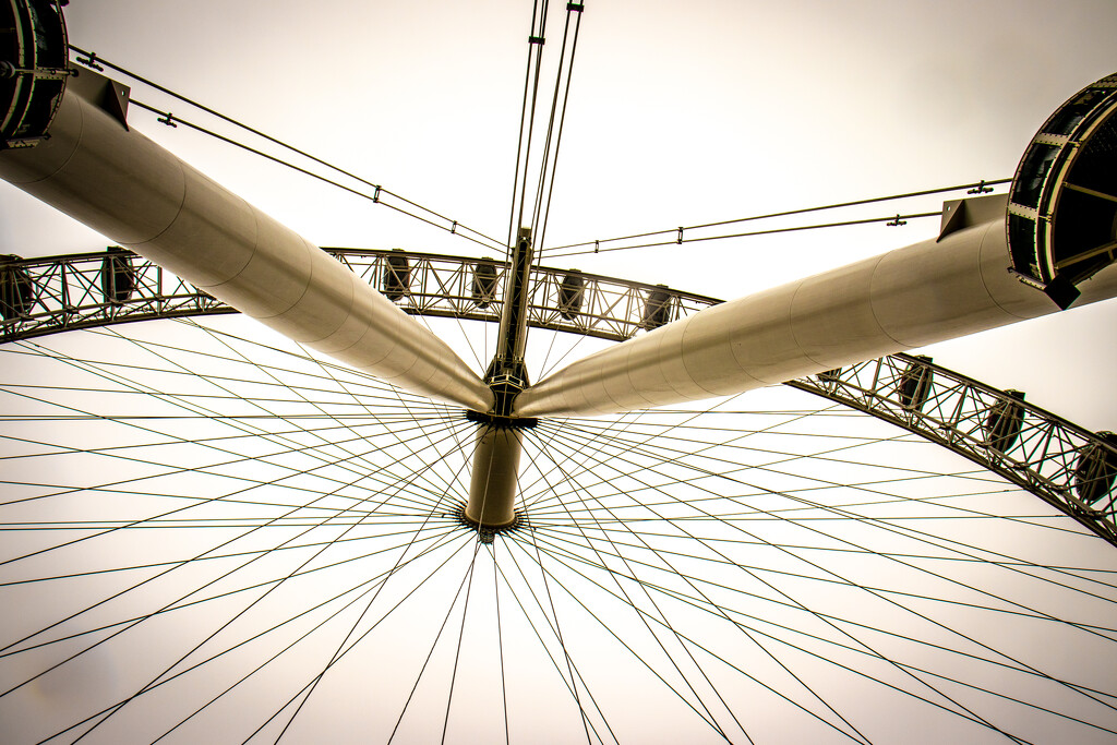 The London Eye by swillinbillyflynn