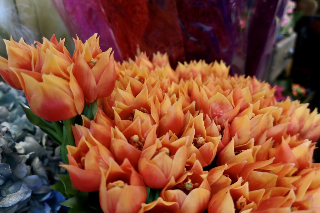 Orange faux tulips by louannwarren