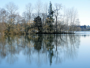 15th Mar 2022 - Reflections On Green Lake