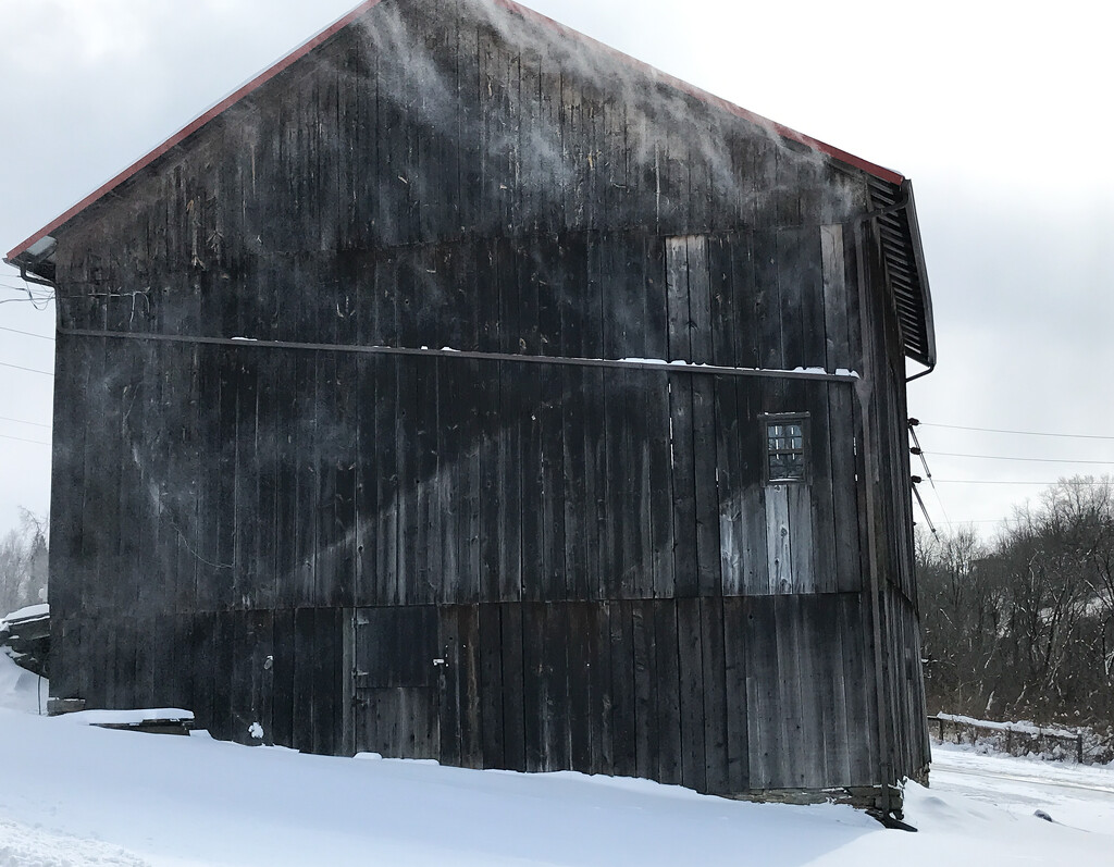 Barn in blowing snow by mittens