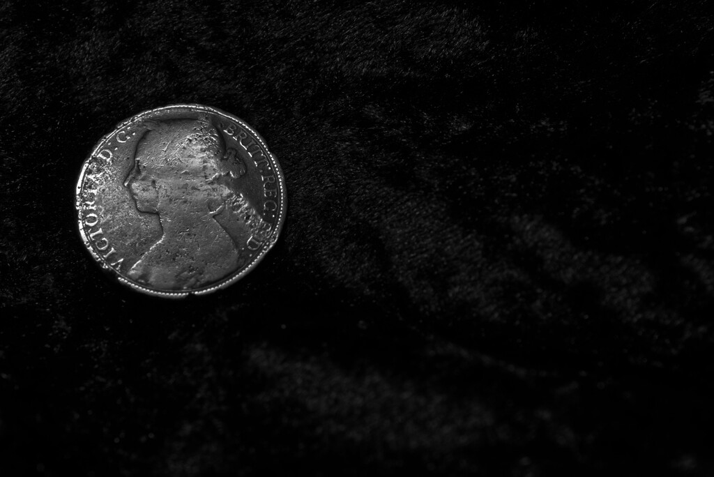 Bun Penny by 30pics4jackiesdiamond