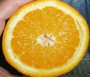 15th Mar 2022 - Orange Orange (Inside)