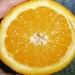 Orange Orange (Inside) by spanishliz