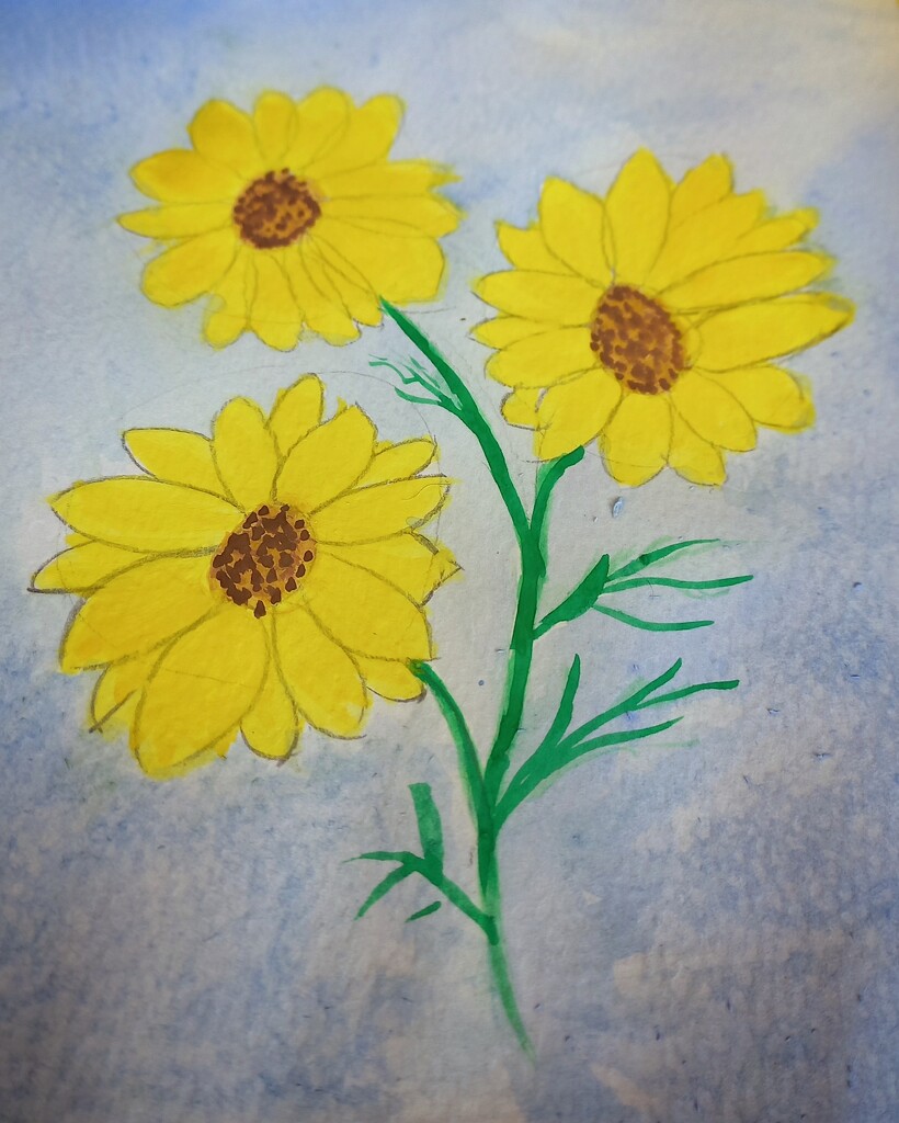 Watercolour daisies  by salza