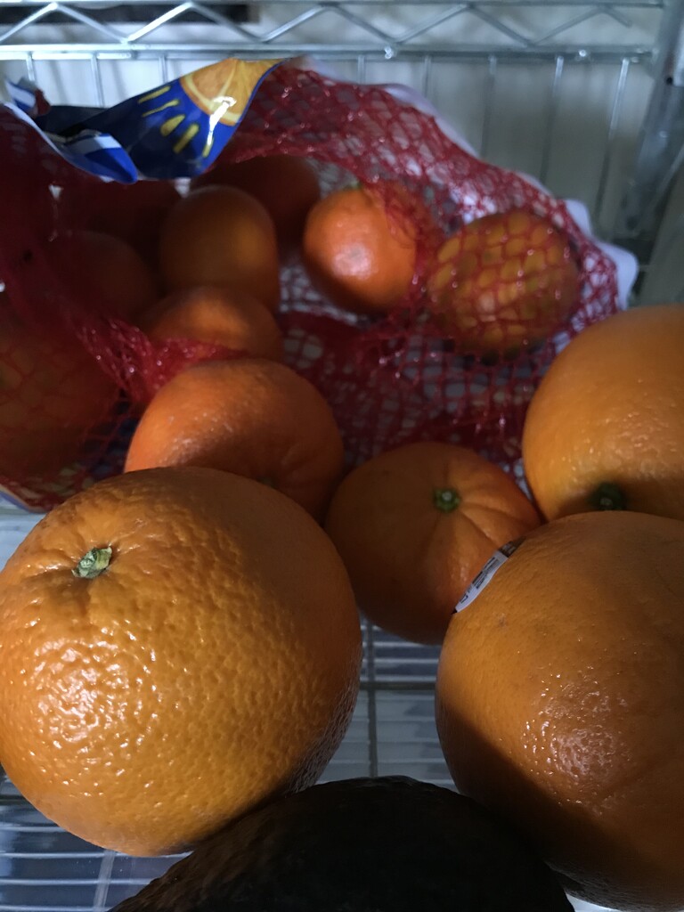 Ordinary orange by pandorasecho