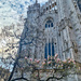 Tree and cathedral.  by cocobella