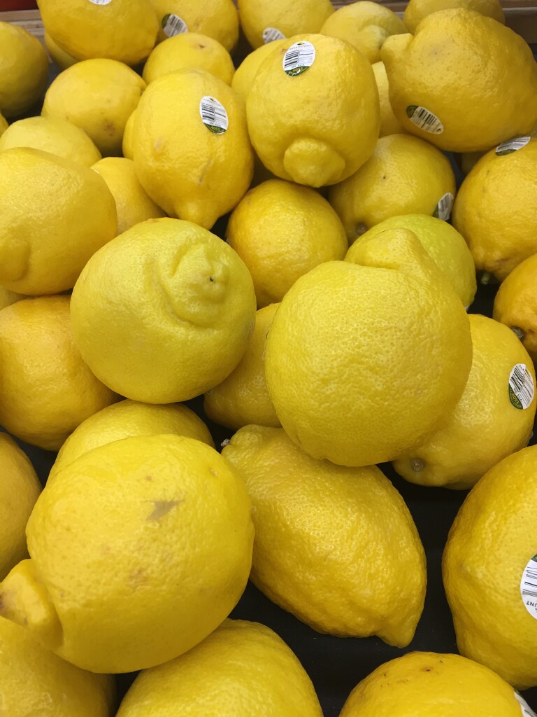 When life hands you lemons by kchuk