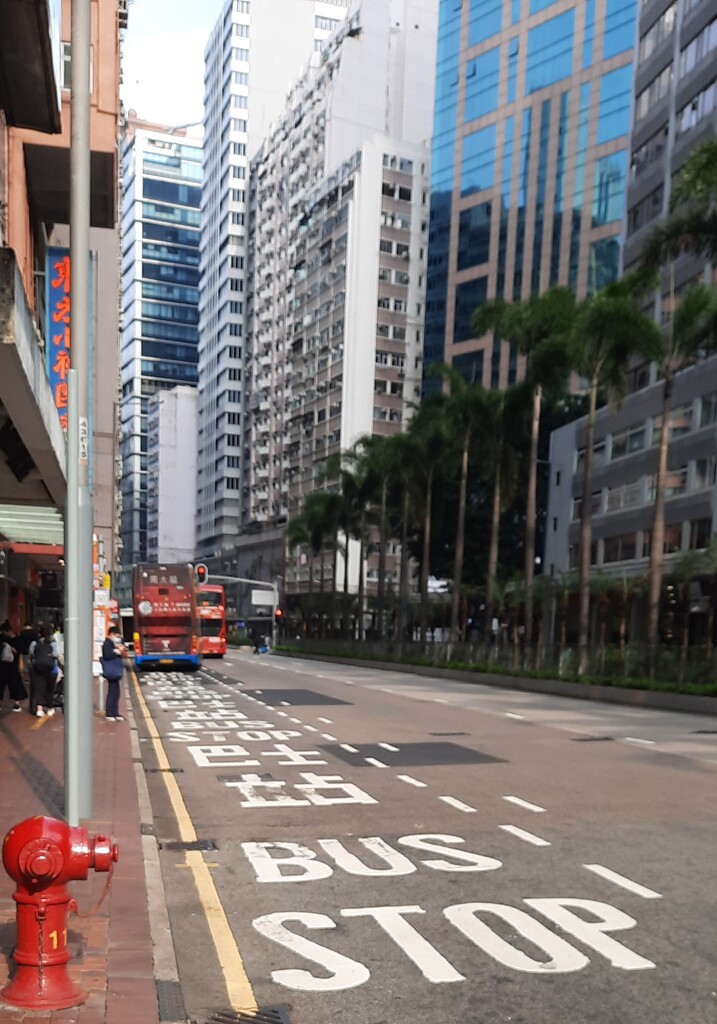 It's a Bus Stop ! by wongbak