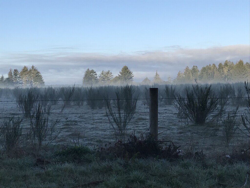 Foggy field by pandorasecho