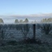 Foggy field by pandorasecho