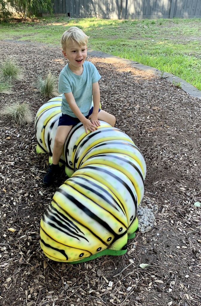 Riding the very hungry caterpillar! by deidre