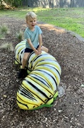 16th Mar 2022 - Riding the very hungry caterpillar!