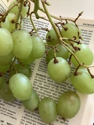 17th Mar 2022 - St pat and green grapes 