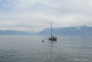 15th Mar 2022 - Leman lake, Lausanne