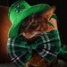 Happy St. Patrick's Day by berelaxed