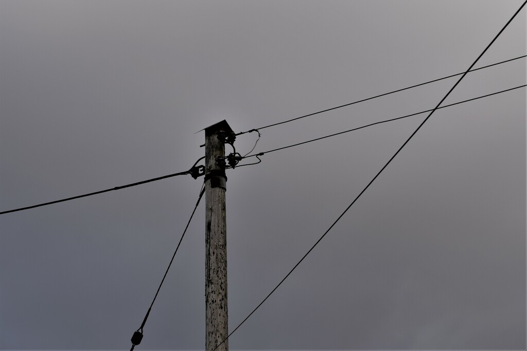 pole and wire by christophercox