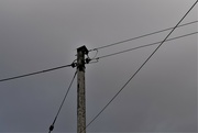 17th Mar 2022 - pole and wire