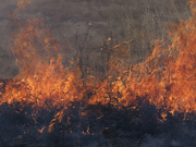 17th Mar 2022 - prairie burn 