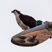 Osprey on the Overhead Street Lamp! by rickster549