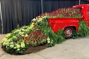 18th Mar 2022 - Another from the Indianapolis Flower and Patio Show