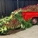 Another from the Indianapolis Flower and Patio Show by tunia