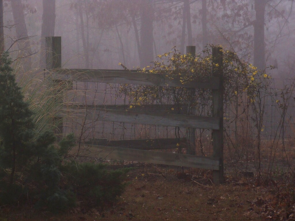It was a foggy March morning... by marlboromaam