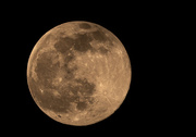 18th Mar 2022 - Full Moon