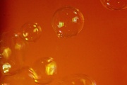15th Mar 2022 - Orange Tuesday 3 - Bubbles