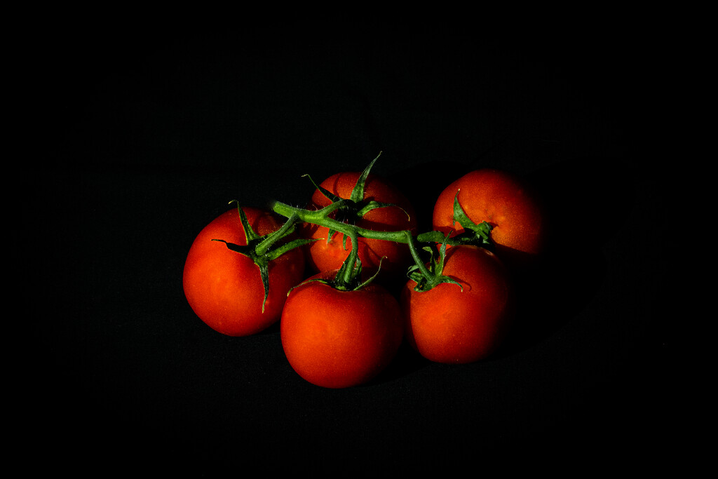 Tomatoes as Fine Art! by vignouse