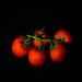 Tomatoes as Fine Art!