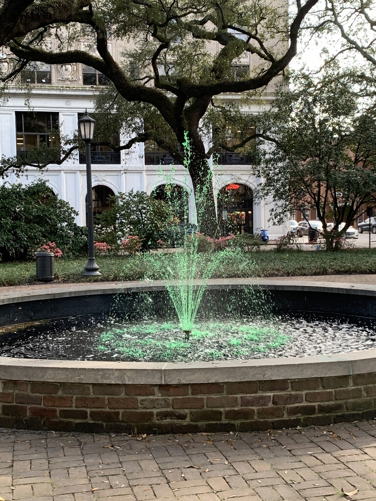 St Patrick’s Day In Savannah by tsmeesa09