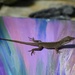 Anole Lizard on a Painting by metzpah