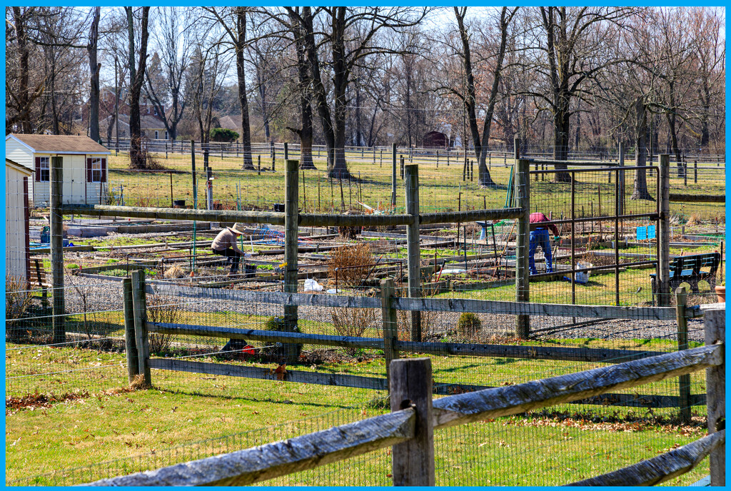 Getting the Garden Ready by hjbenson