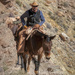 Mule Wrangler by kvphoto