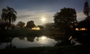 17th Mar 2022 - Moonset over the canal in Florida.