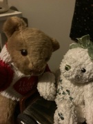 23rd Oct 2021 - Teddy and Shamrock