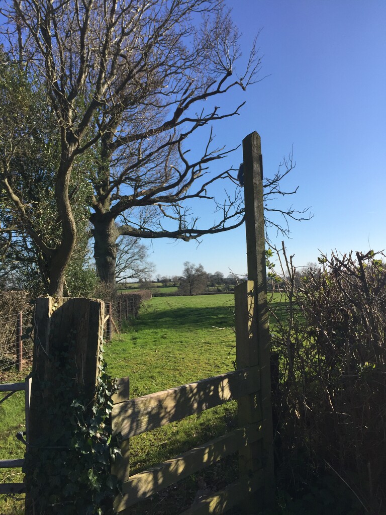  A Spring  view over the stile by snowy
