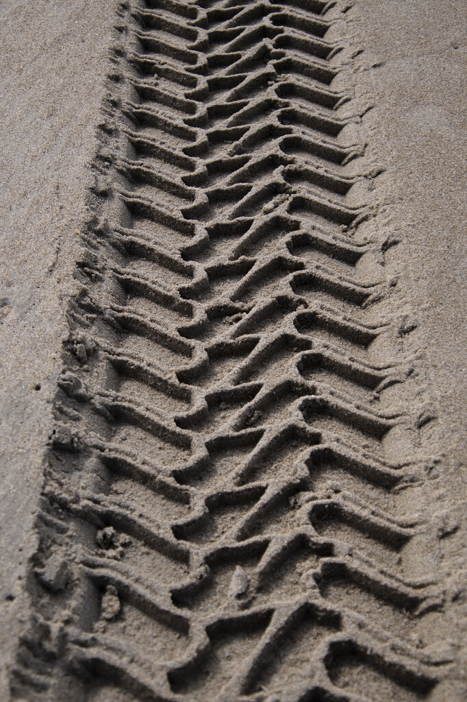 Sand Tracks by timerskine