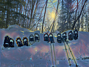 20th Mar 2022 - Snowshoes