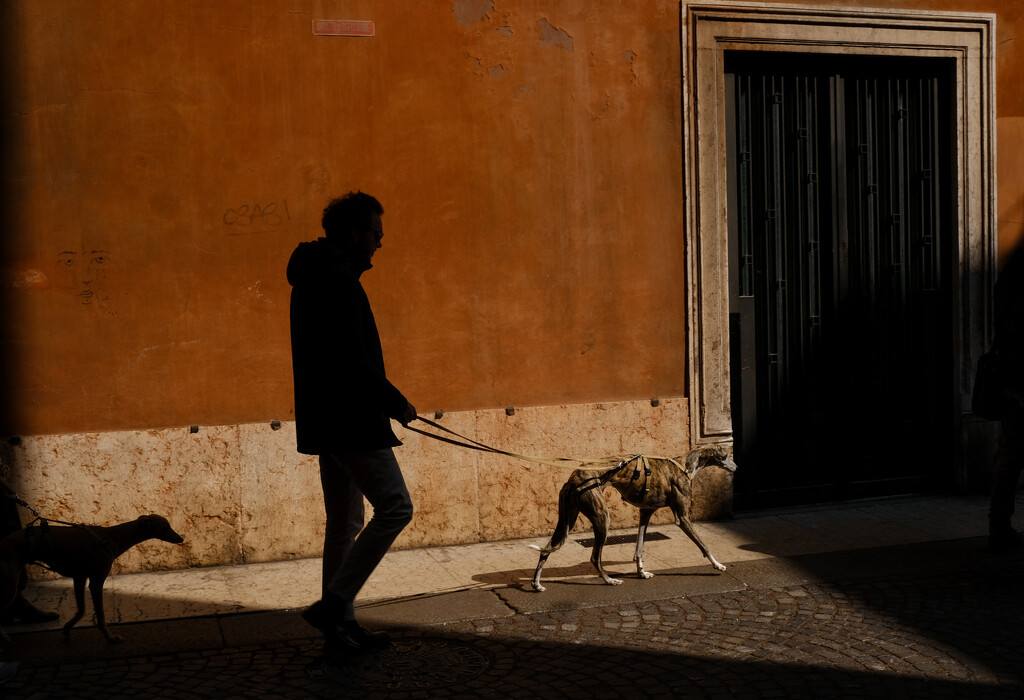 Two dogs and a man. by caterina