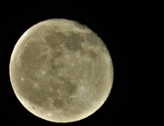 20th Mar 2022 - Last night's full moon