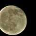 Last night's full moon by anitaw