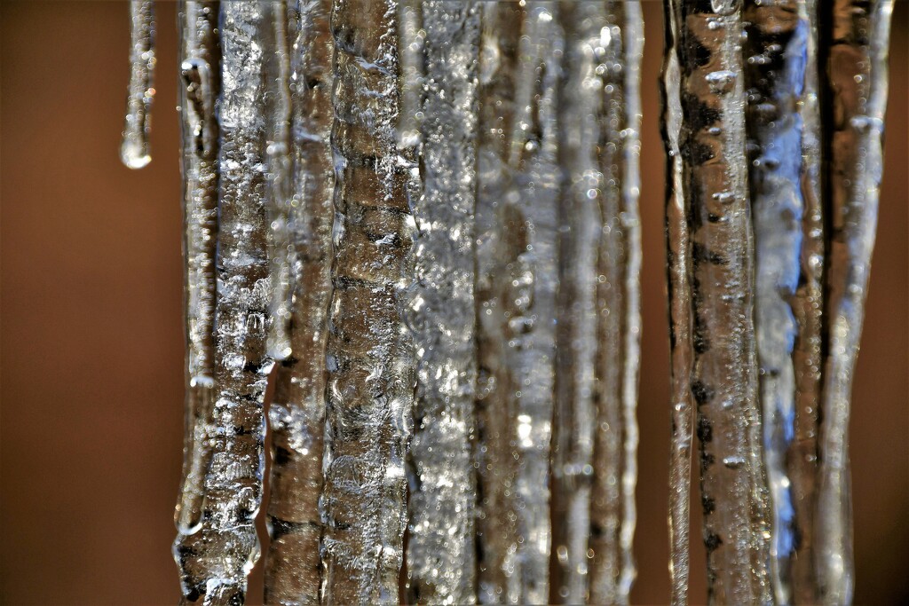 Icicles by kareenking