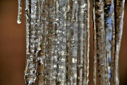 13th Mar 2022 - Icicles