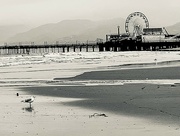31st Mar 2021 - Santa Monica Morning