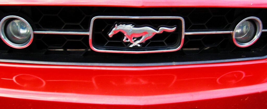 Mustang Red by linnypinny